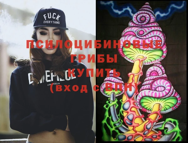 гидропоника Абаза