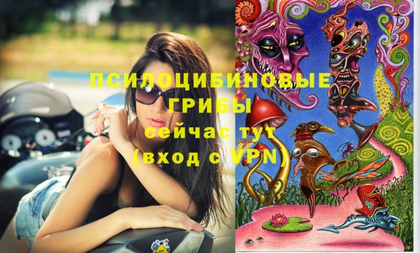 дживик Алексин
