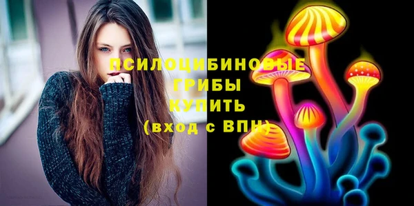 дживик Алексин