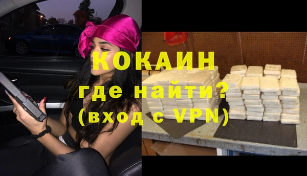 дживик Алексин