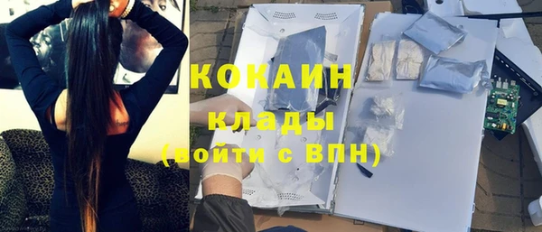 прущий лед Алзамай