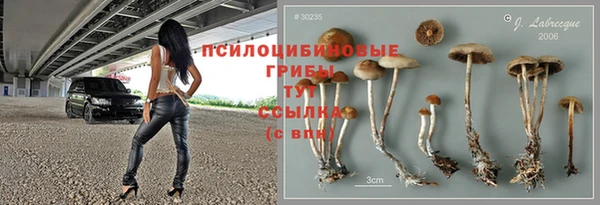 прущий лед Алзамай